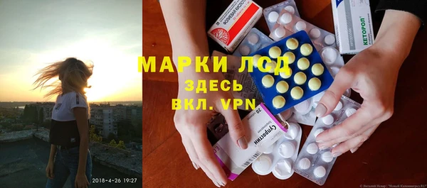 индика Зерноград