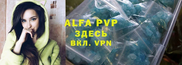 индика Зерноград