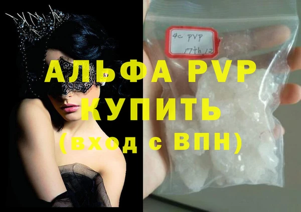 индика Зерноград