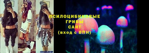 амф Зеленокумск