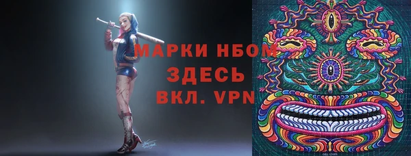 индика Зерноград