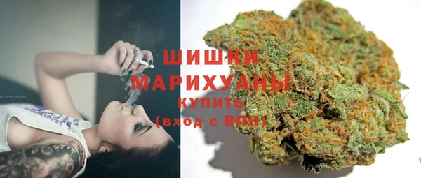 индика Зерноград